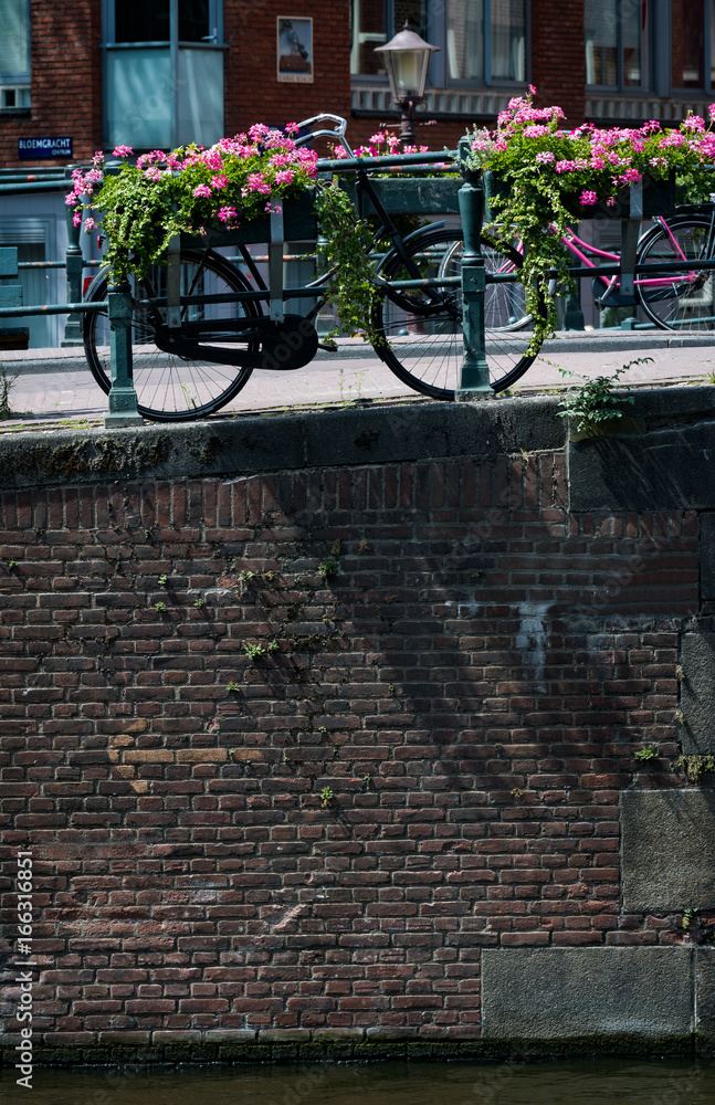 Bicycle and flowers on the Prinsengracht, Amsterdam, Netherlands
