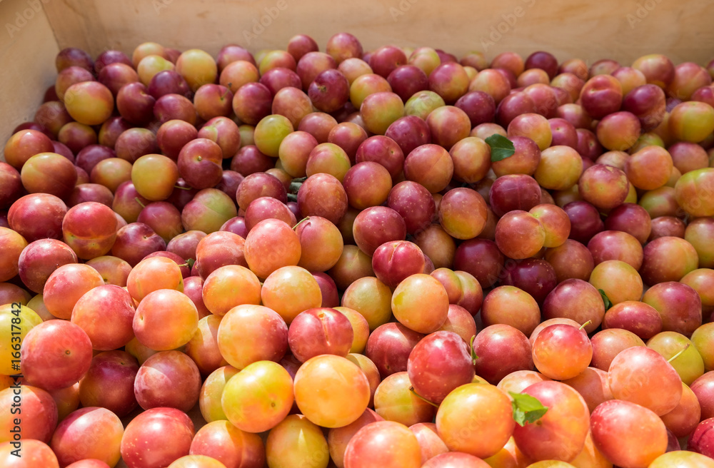 Cherry plums for sale at farmers market in Provence region. France Cherry plums for sale at farmers market in Provence region. France