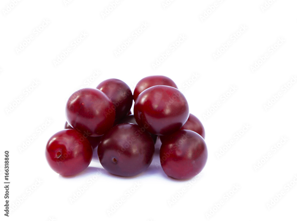Summer plum Summer plum