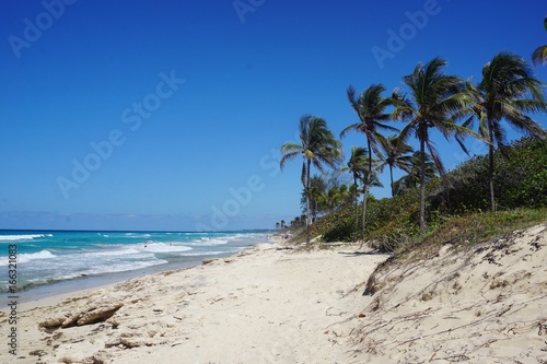 Palmen am Strand auf Kuba, Santa Lucia