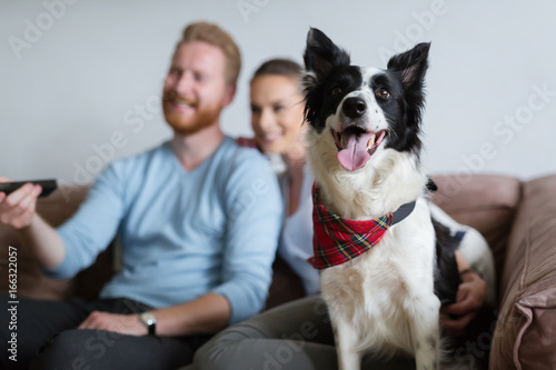Beautiful couple watching television at home with their dog © NDABCREATIVITY