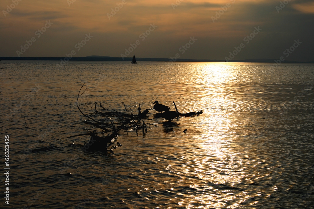 Abendrot am Bodensee Abendrot am Bodensee