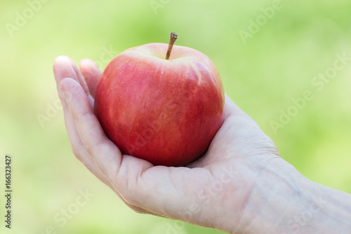 Female hand holding an apple