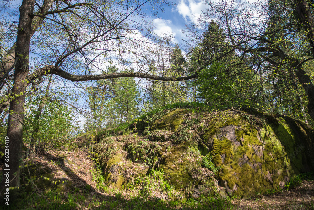 Fototapeta premium hill under blue sky with clouds