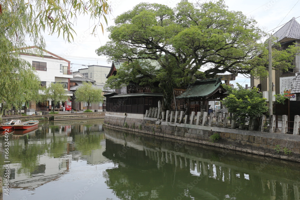 Obraz premium 柳川 水辺の風景