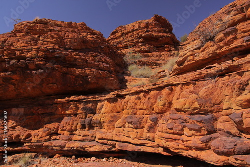 Wallpaper Mural Kings Canyon NP in Australien Torontodigital.ca