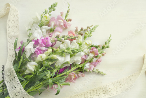 Antirrinum on a white wooden background. Vintage cotton lace in a bocho style photo