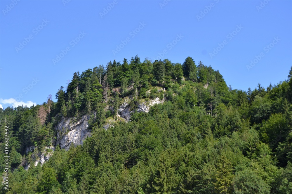 Bewaldeter Berg