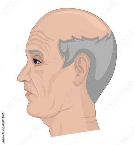 Illustration of an elderly man with gray hair and a bald head pictured on the side