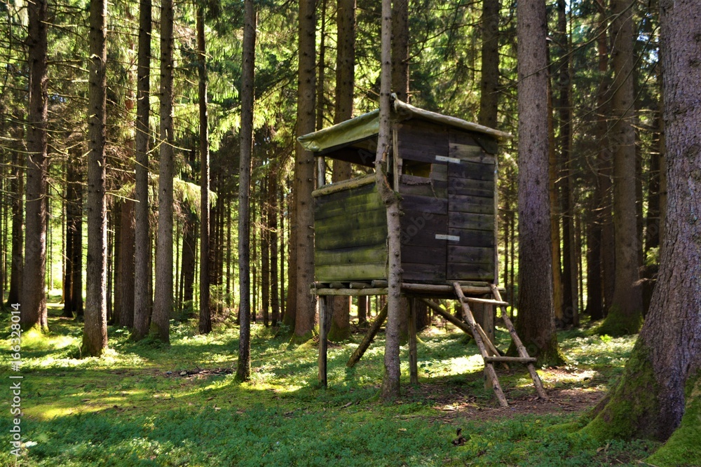 Jägerstand im Wald Jägerstand im Wald
