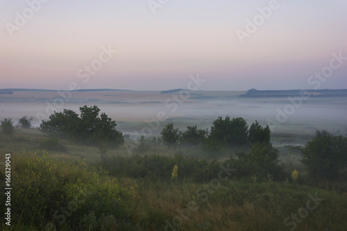 Glade not far from the river at dawn