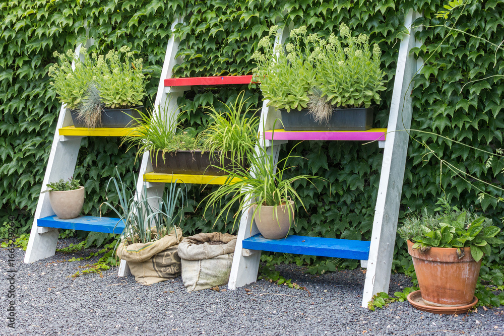 Plant terrace with colourful stands.