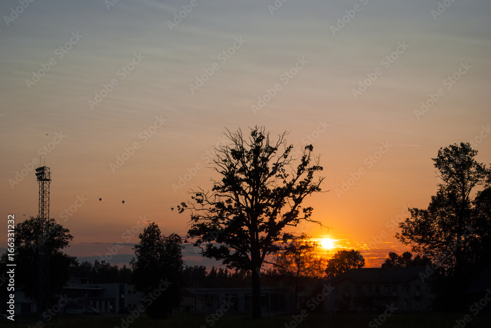 Obraz premium Sunny field sunset