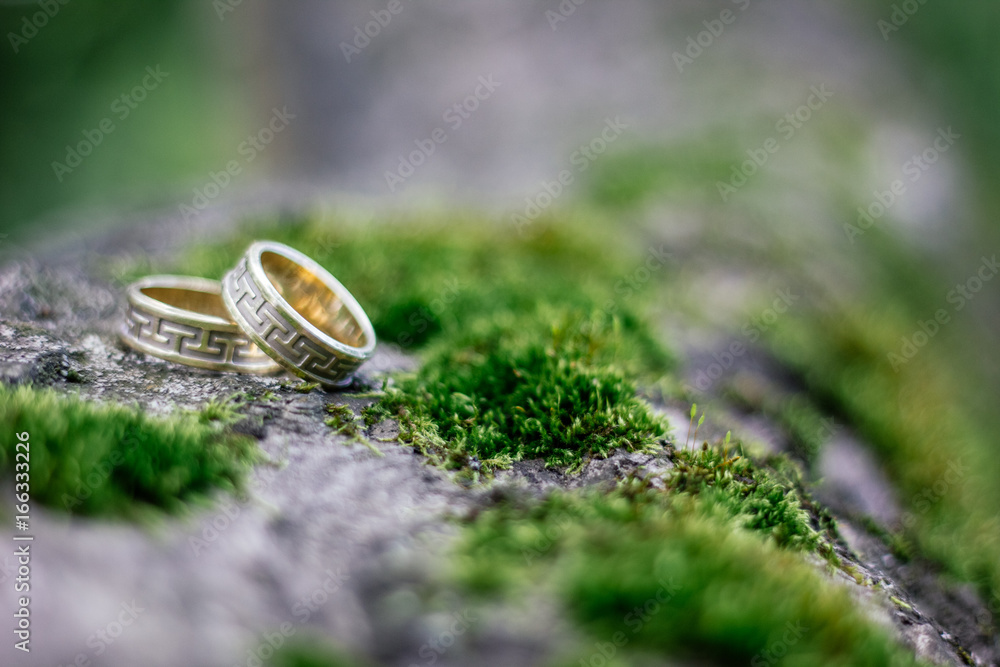 wedding rings on tree with green moss.
