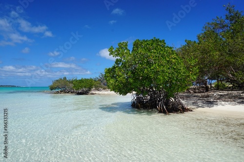 Strand auf Kuba, Cayo Coco, Jardines del Rey