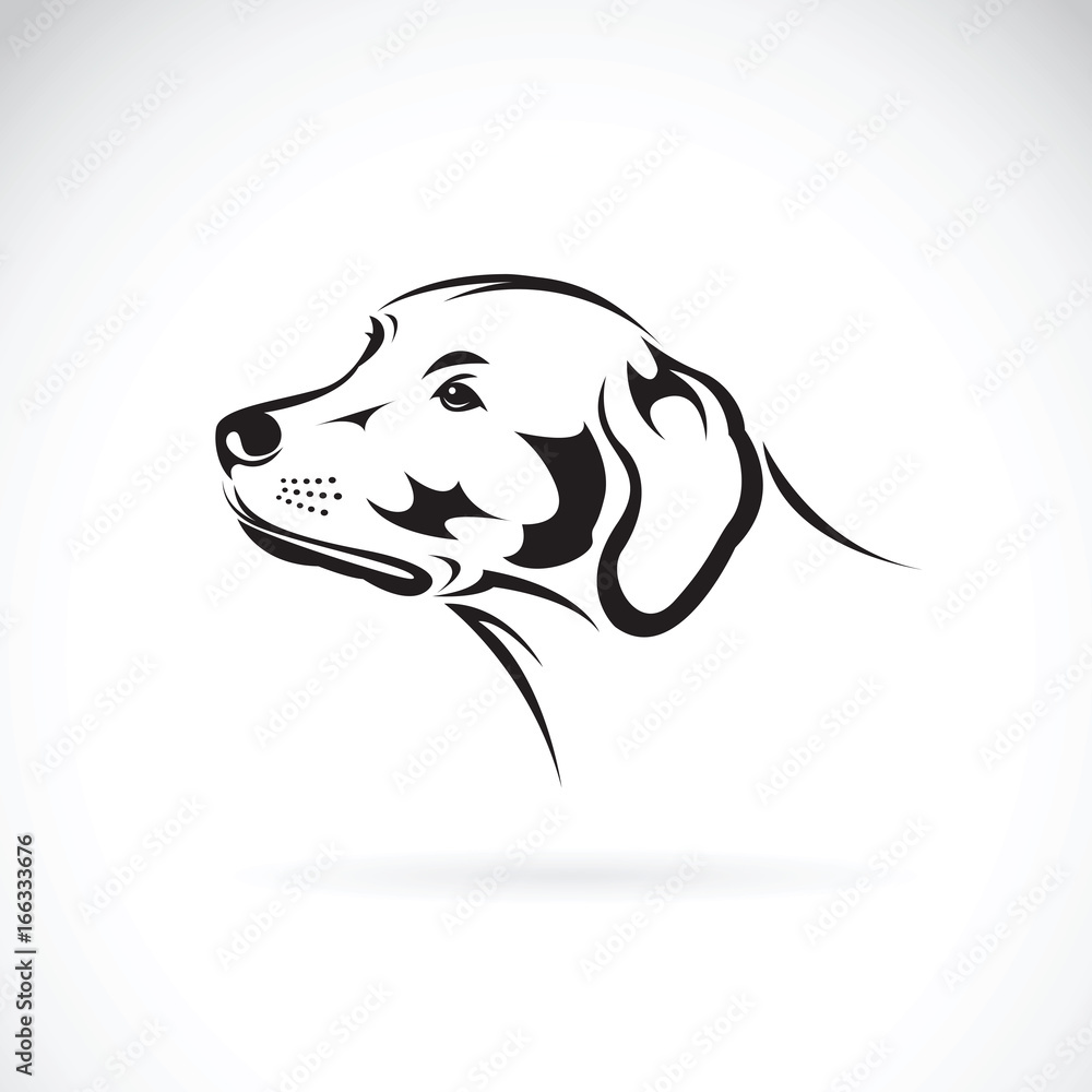 Vector of a dog head(Labrador Retriever) on white background, Pet. Animals. Vector of a dog head(Labrador Retriever) on white background, Pet. Animals.