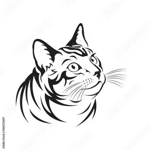 Vector of a cat on white background. Pet Animal.