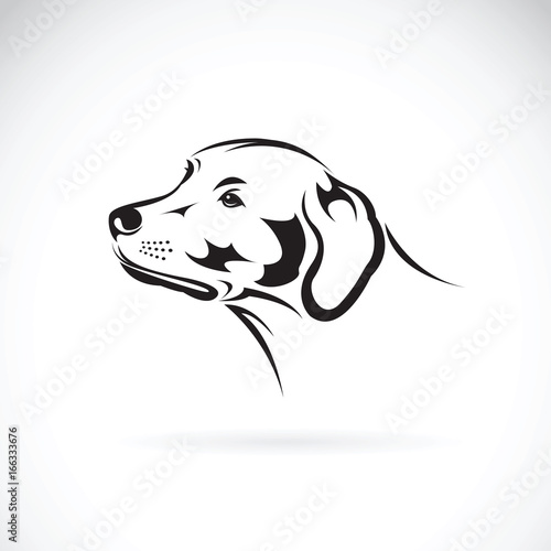 Vector of a dog head(Labrador Retriever) on white background, Pet. Animals.