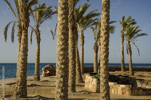 Obraz na płótnie Hurghada