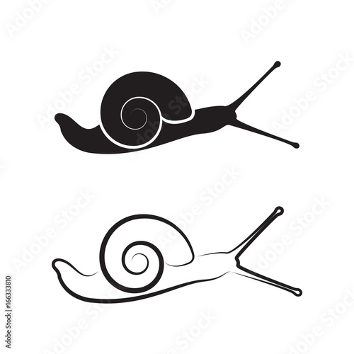 Vector of a snail on white background. Reptile Animals.