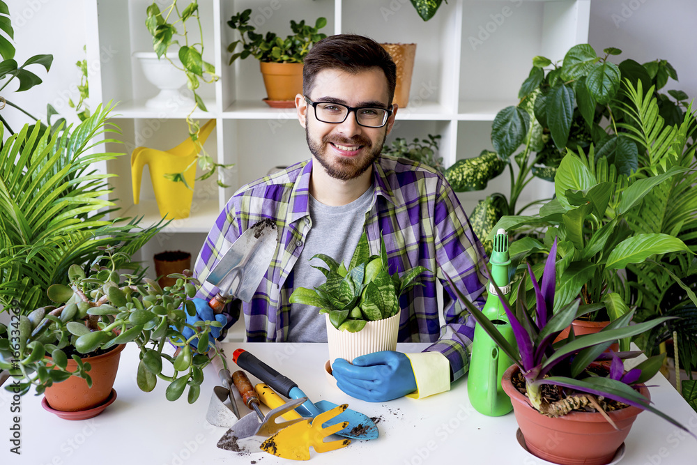 Male florist working Male florist working