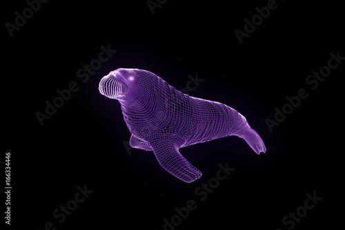 Walrus Seal in Hologram Wireframe Style. Nice 3D Rendering 