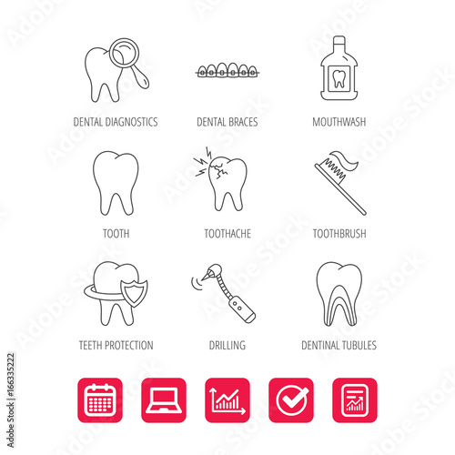 Tooth, dental braces and mouthwash icons. Diagnostics, toothbrush and toothache linear signs. Dentinal tubules, protection flat line icons. Report document, Graph chart and Calendar signs. Vector