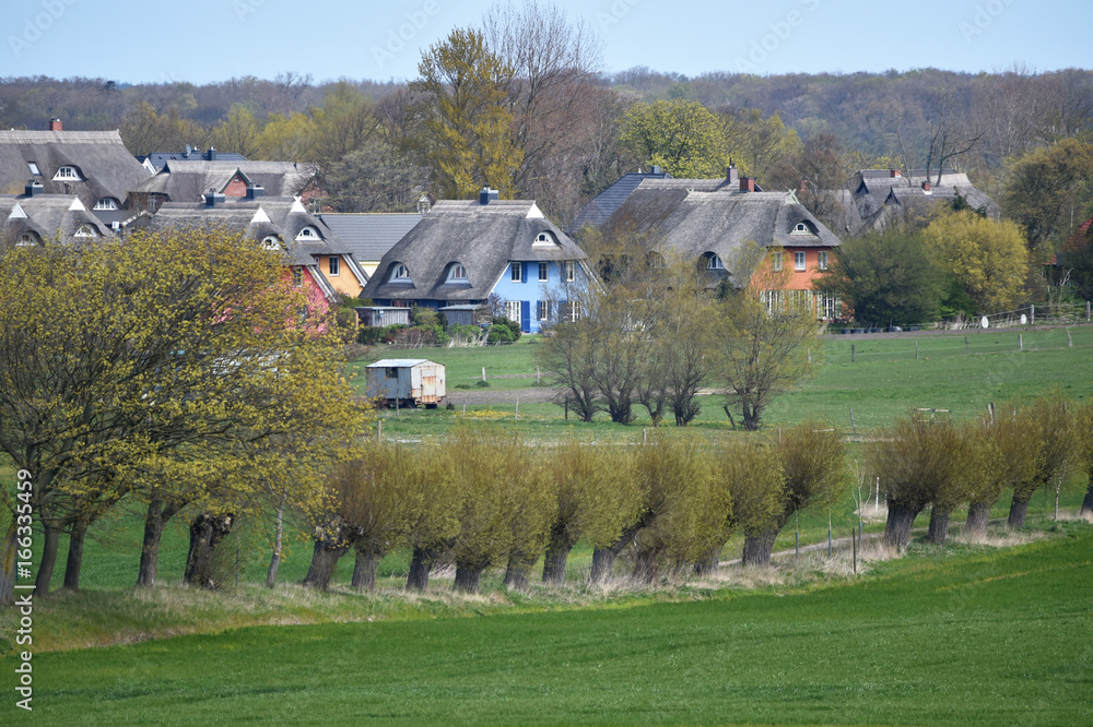 Obraz premium Darß Häuser