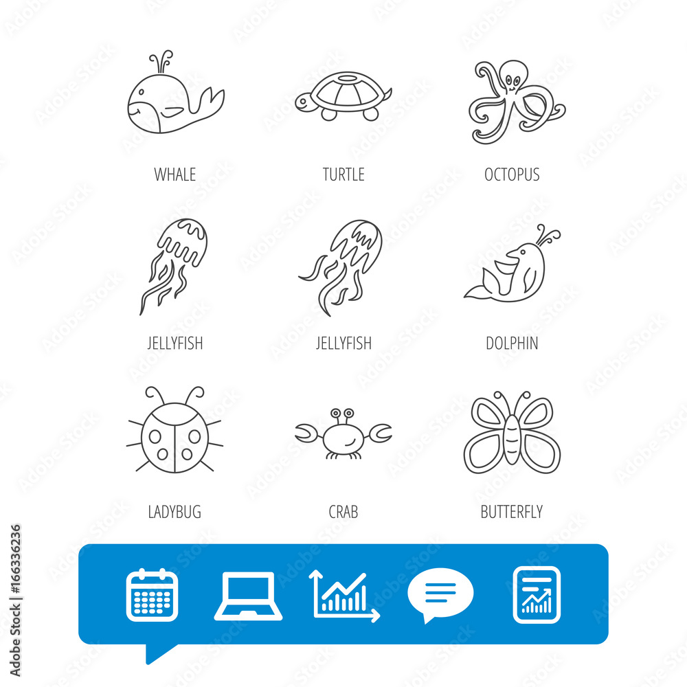 Octopus, turtle and dolphin icons. Jellyfish, whale and ladybug linear signs. Crab, butterfly flat line icons. Report file, Graph chart and Chat speech bubble signs. Laptop and Calendar web icons Octopus, turtle and dolphin icons. Jellyfish, whale and ladybug linear signs. Crab, butterfly flat line icons. Report file, Graph chart and Chat speech bubble signs. Laptop and Calendar web icons