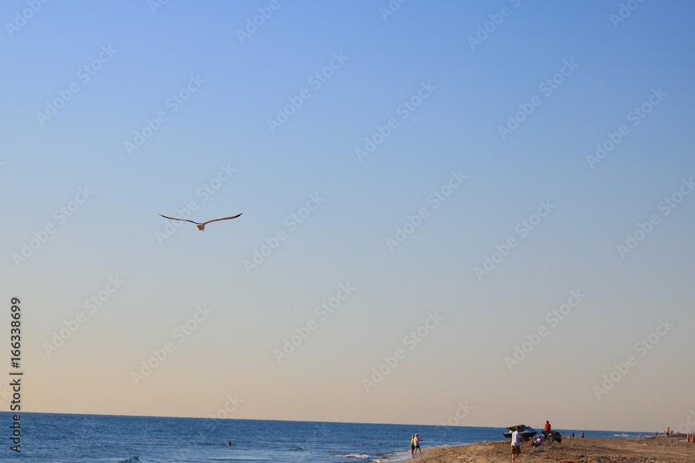 Fototapeta premium Sky