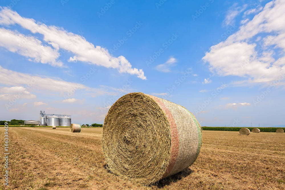 Hay bales in the field, on the background agricultural silos. Hay bales in the field, on the background agricultural silos.