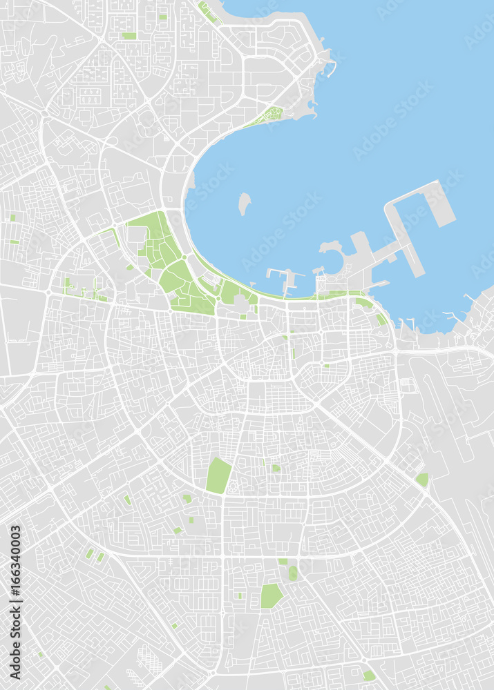 Doha color vector city map