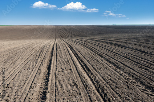 Plowed field and the blue sky