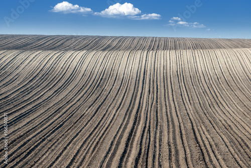 Plowed field and the blue sky