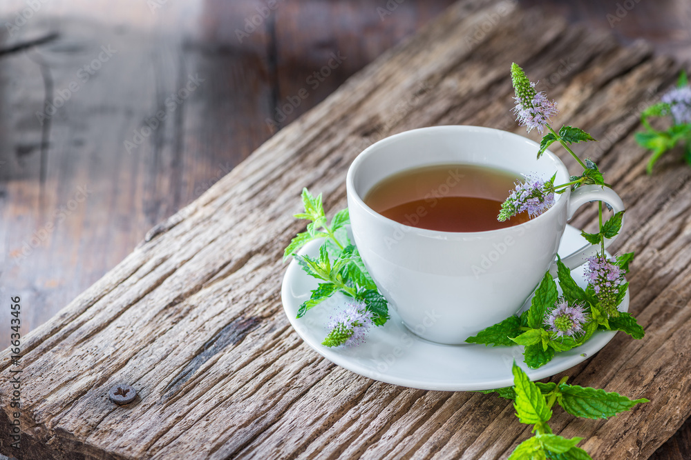 Tee - Minze - Pfefferminze - Mentha - Kräuter - Naturheilkunde - Tee - Minze - Pfefferminze - Mentha - Kräuter - Naturheilkunde -