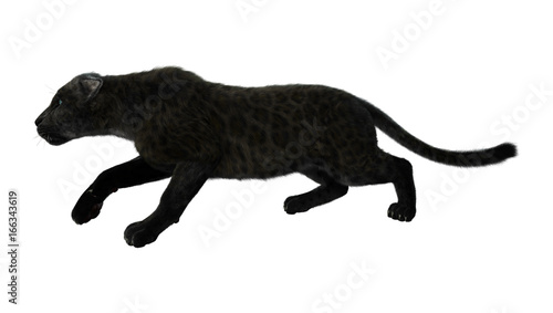 3D Rendering Black Panther on White