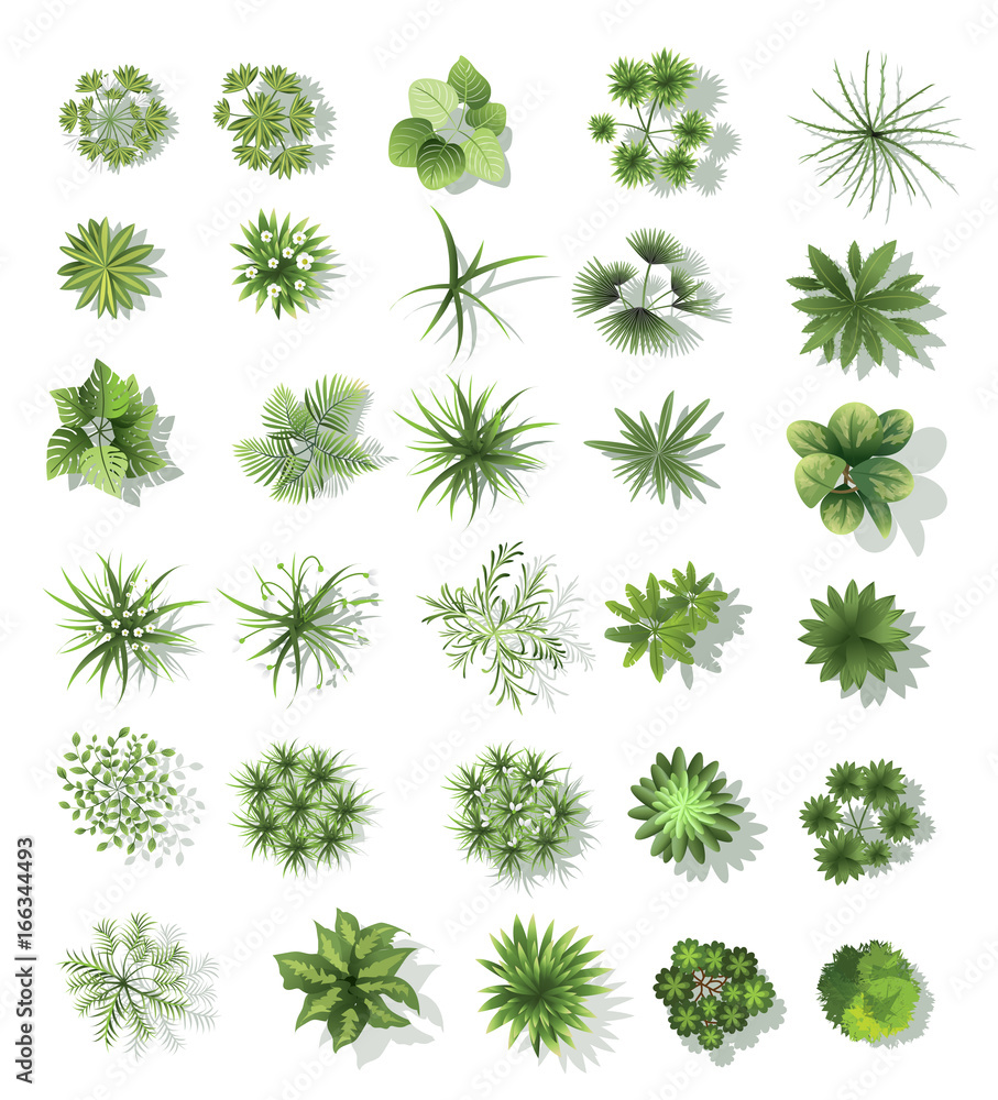 set of treetop symbols, for architectural or landscape design, for map, vector set of treetop symbols, for architectural or landscape design, for map, vector