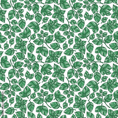 Hand drawn vector seamless pattern with mint leaves
