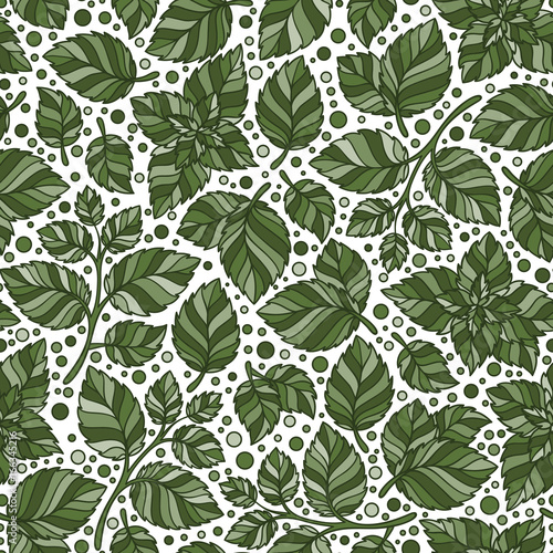 Hand drawn vector seamless pattern with mint leaves © photo-nuke