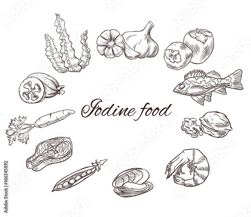 Iodine food vector sketch set  icons with black contour  medicine infographics or diet concept  persimmon  feijoa  sea bass  milk  carrot  garlic  walnut  salmon steak  pea  mussel  shrimp  seaweed