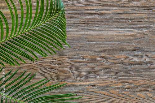 Palm branch on an old wooden background with copy space