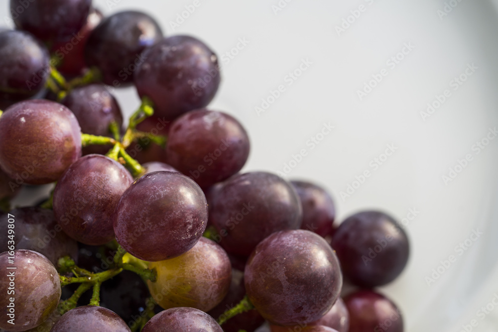 Fototapeta premium Grape