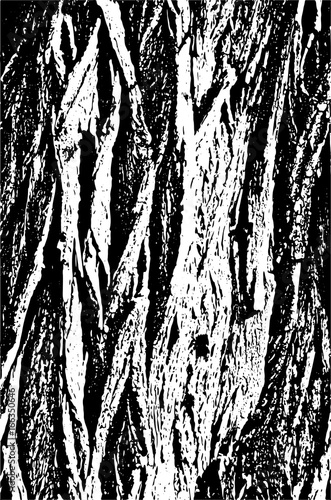 The texture of the bark of the tree is vertical, black and white.