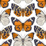 Butterflies. Colorful seamless pattern, background.  Stock line vector illustration
