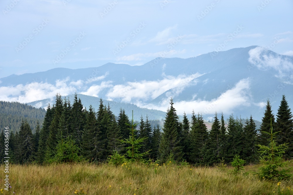Obraz premium Mountains between white clouds, summer trips