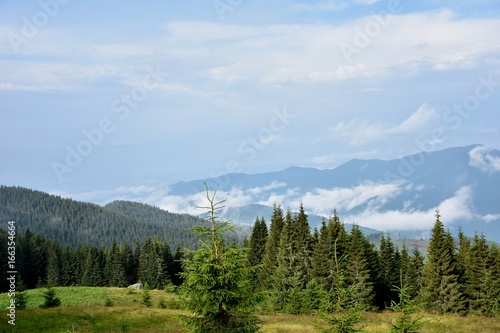 Mountains between white clouds, summer trips