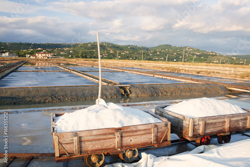 Harvesting sea salt at Secovlje salt plants, Slovenia. photo