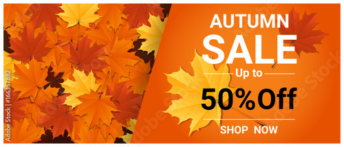 Autumn sale banner with colorful leaves , vector , illustration