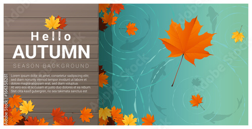 Hello autumn background with colorful leaves on wooden pier , vector , illustration