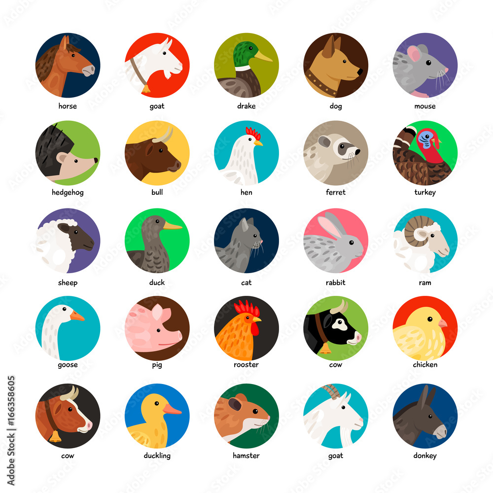 Large set of different avatars with farm animals Large set of different avatars with farm animals